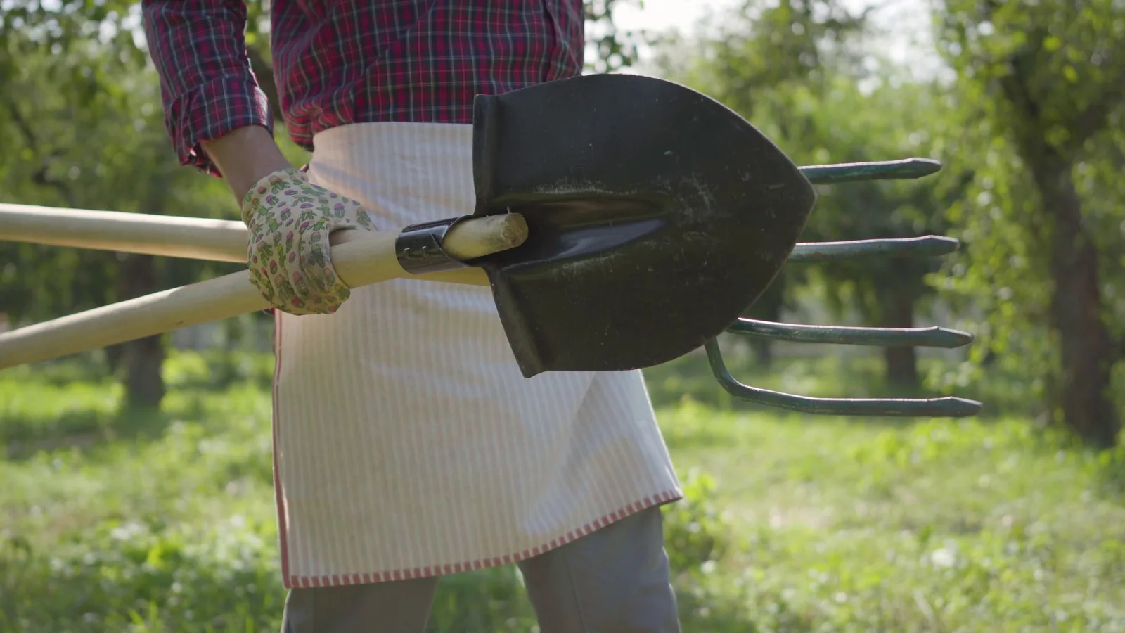How To Store Garden Tools cover image